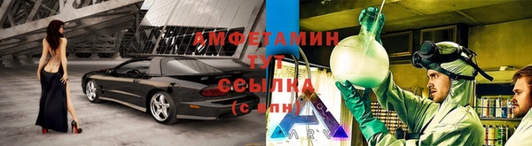 спайс Аркадак